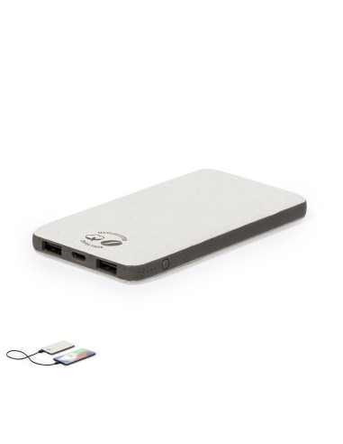 Power Bank Mayer