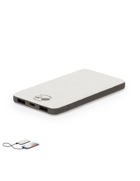Power Bank Mayer