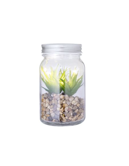 Planta Decorativa Kyala