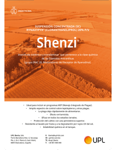 Flyer Ficha Folleto A4