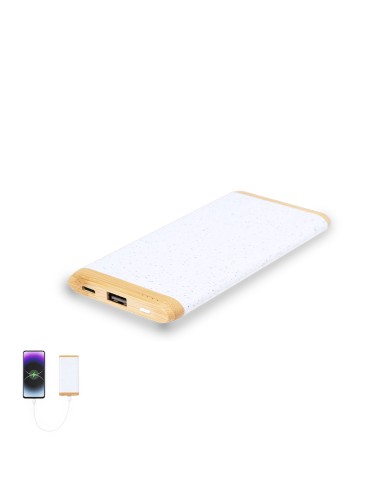 Power Bank Coquin