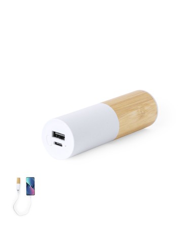 Power Bank Reneh