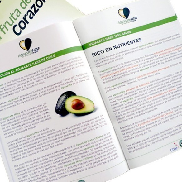 A4 de 24 páginas  - Imprimir Revista o catálogo con grapa a todo color