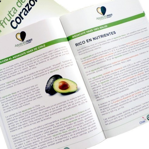 Revista o catálogo A4 con Portada