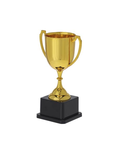 Trofeo Nynor