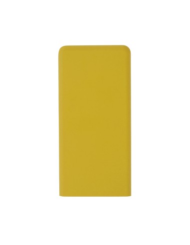 Power Bank Caplan