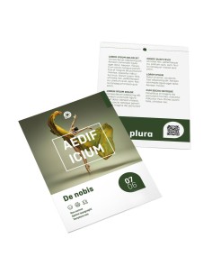 Flyers, 10,0 x 20,0 cm, impresión a dos caras