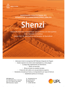 Flyers, A3, impresión a dos caras