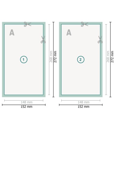 Flyers, Carátula Blu-ray, impresión a dos caras