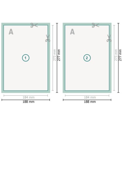 Flyers, Carátula de DVD, impresión a dos caras