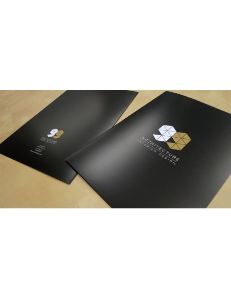 Folletos plegados verticales libreto DVD 12×18 cm | Originarte