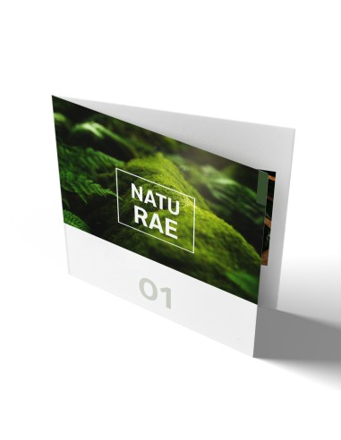 Folletos plegados en papeles ecológicos/naturales, formato apaisado, A4