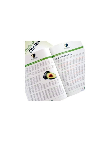 Revistas grapadas, formato vertical, 21 x 28 cm