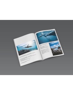 Catálogos encolados, 17 x 24 cm, Formato vertical