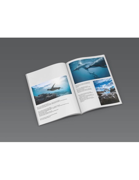 Catálogos encolados, 17 x 24 cm, Formato vertical