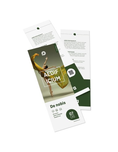 Flyer DL
