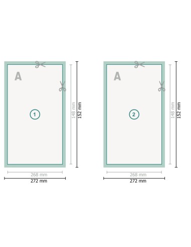 Flyers en papeles ecológicos/naturales,...
