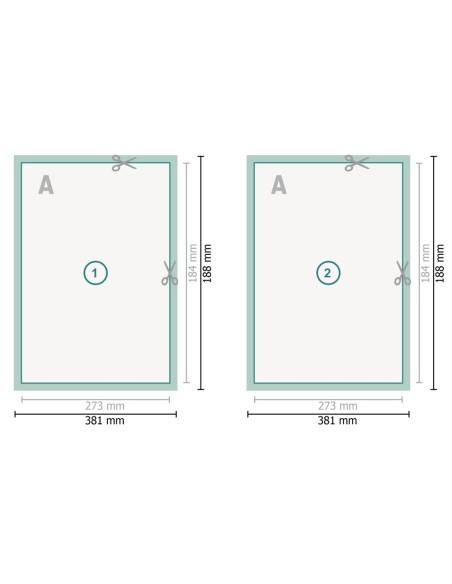 Flyers en papeles ecológicos/naturales, Carátula de DVD, impresión a dos caras