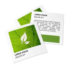 Flyers en papeles ecológicos/naturales, A4-cuadrado,...
