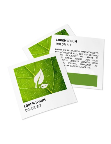 Flyers en papeles ecológicos/naturales, A4-cuadrado, impresión a dos caras