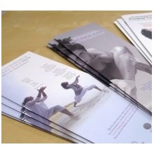 Folletos plegados y perforados en formato vertical, DL