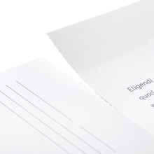 Folletos plegados y perforados en formato vertical, DL 2