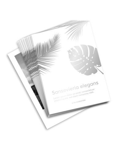 Folletos plegados con colores de efecto, formato vertical, A4