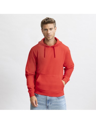 Sudadera Adulto Draco