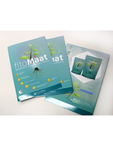 Flyers con lacado parcial UV, A5