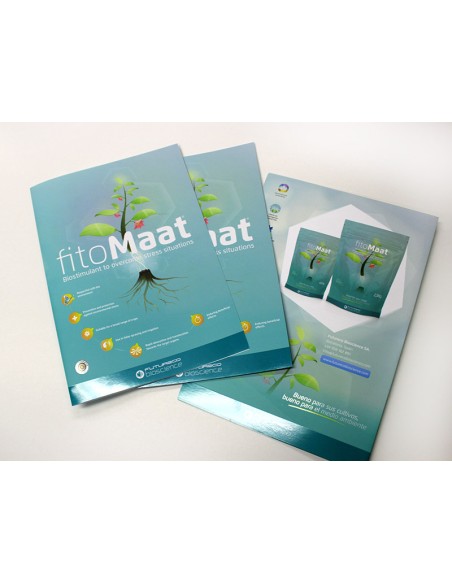 Flyers con lacado parcial UV, A5
