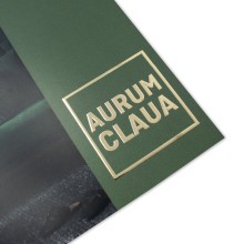 Flyers con estampado en caliente, A4 medio 2