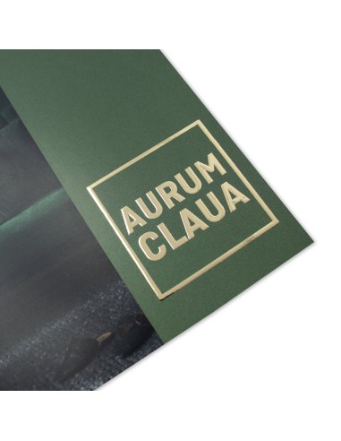 Flyers con estampado en caliente, A4 medio