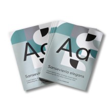 Flyers con colores de efecto, A6, impresión a una cara