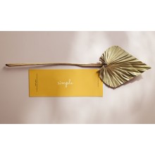 Flyers con colores de efecto, A5 medio, impresión a dos...