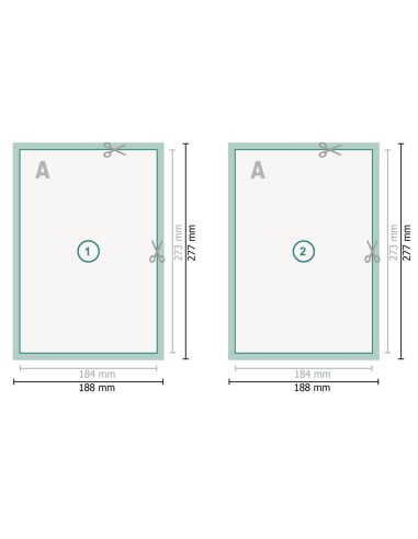 Flyer con lacado UV, Carátula de DVD, impresión...