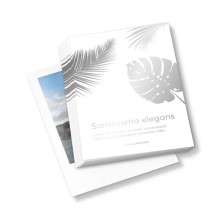 Carteles con colores de efecto, A3, impresión a dos caras