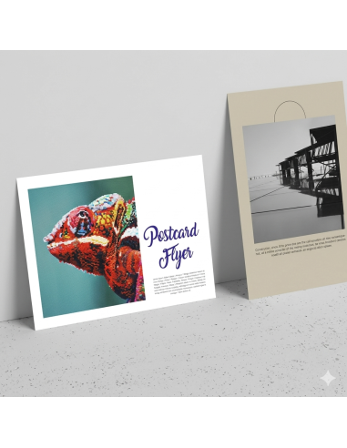 Tarjeta 10,5x7,4 cm. - Mini Flyer A7 a todo color