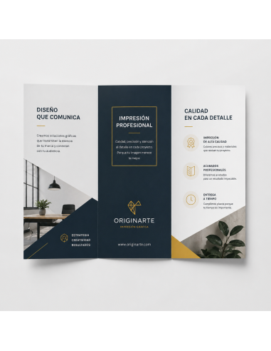 folleto profesional DL - triptico A4 abierto