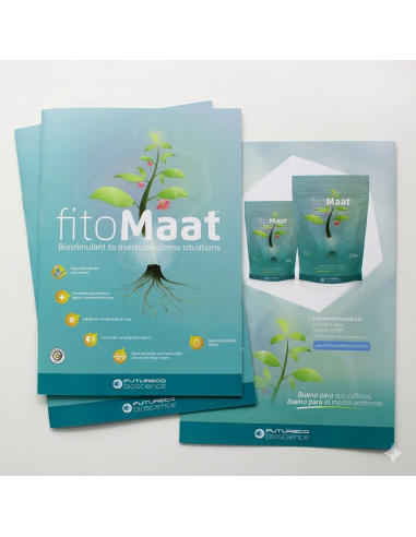 Diptico profesional A4 cerrado