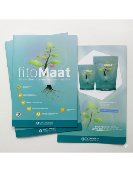 Diptico profesional A4 cerrado