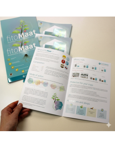 impresion-folletos-plegados-profesionales