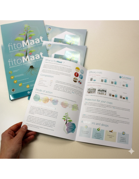 impresion-folletos-plegados-profesionales