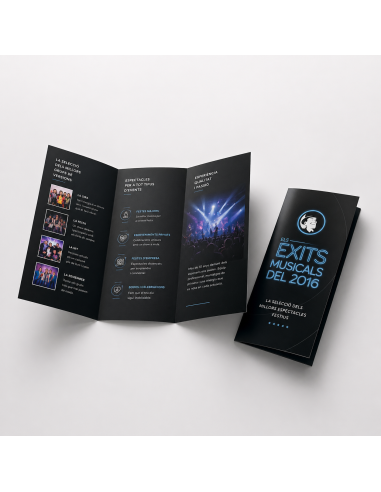 Folleto DL profesional . Triptico A4 abierto