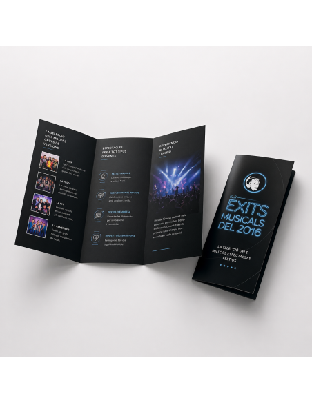 Folleto DL profesional . Triptico A4 abierto