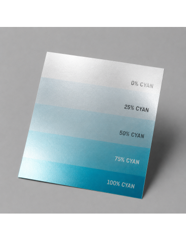 Flyer DL a Dos Caras con Efecto Metálico (Tinta Plata) — 10,5×21 cm