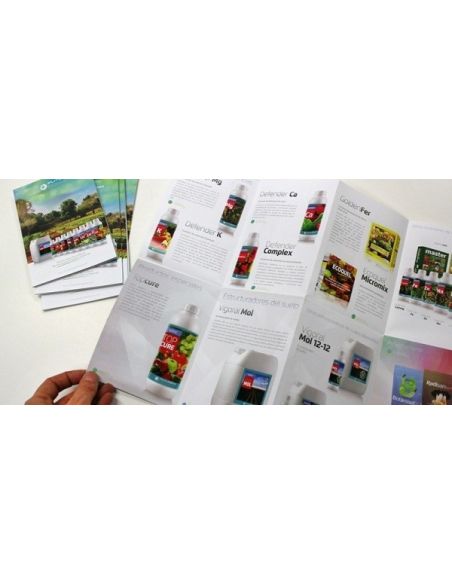 Folleto plegado 18 cuerpos de 10×14,7 cm | Originarte