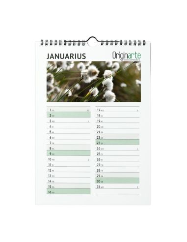 Calendarios de pared, 13 hojas, A3, encuadernación en espiral, papel cuché 170 g/m² , 4/0