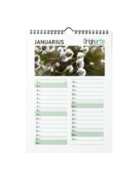 Calendarios de pared, 13 hojas, A3, encuadernación en espiral, papel cuché 170 g/m² , 4/0
