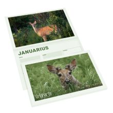 Calendarios revista con cubierta, horizontal, A5, 24 páginas, 130 g/m² papel cuché