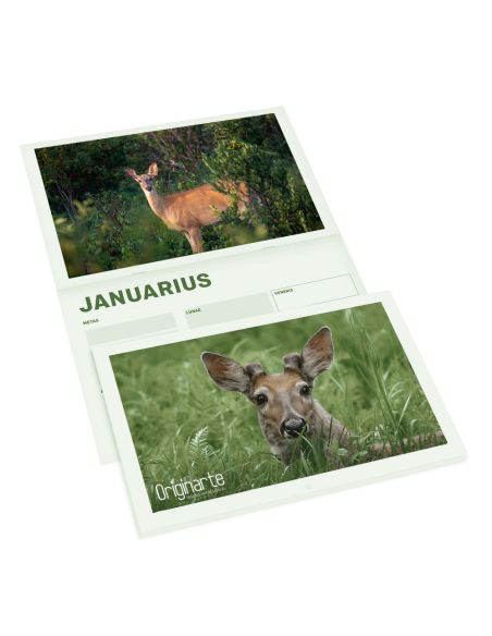 Calendarios revista con cubierta, horizontal, A5, 24 páginas, 130 g/m² papel cuché